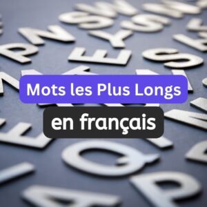 Lire la suite à propos de l’article Les Mots les Plus Longs en Français (en 2024)