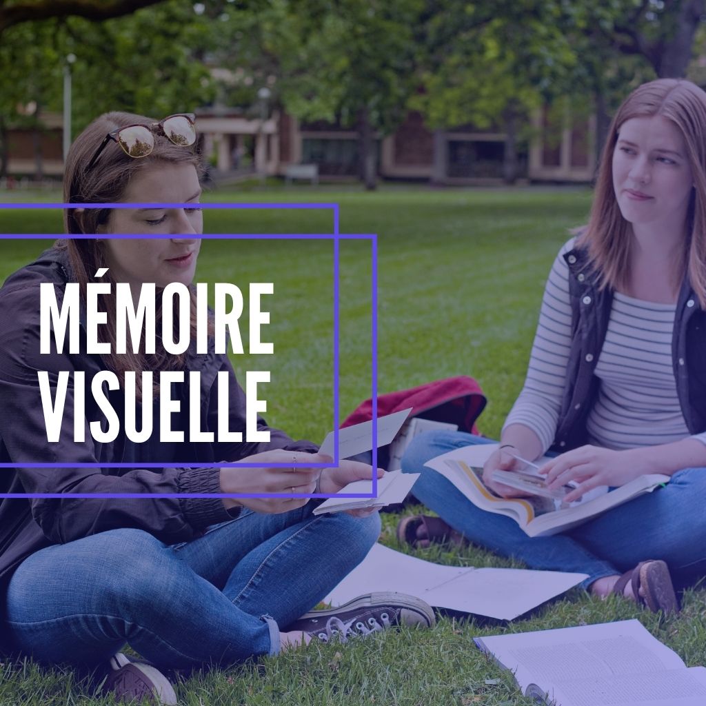 You are currently viewing Comment Apprendre Quand on a une Mémoire Visuelle?