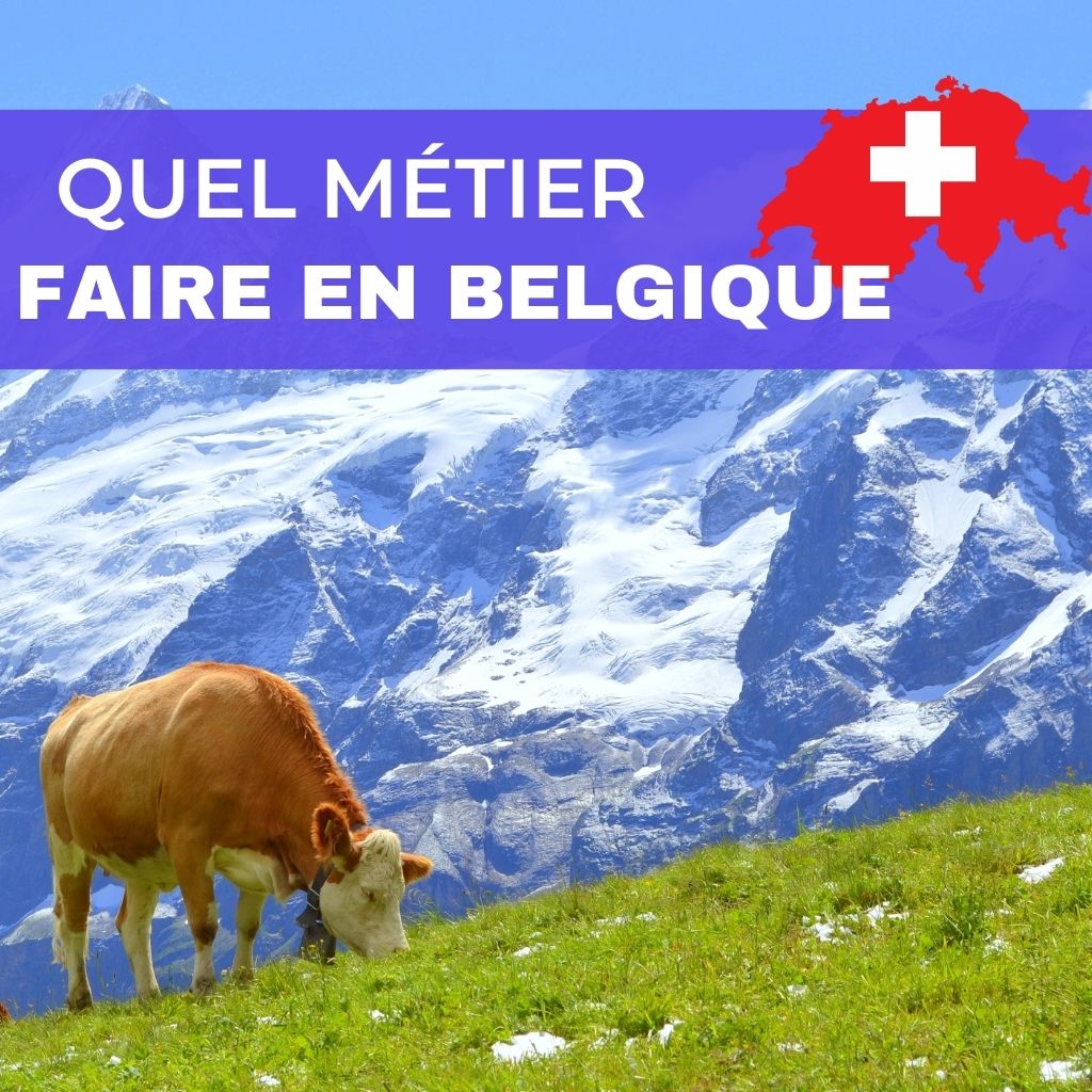 You are currently viewing Quel Métier Faire en Suisse? (Les Meilleures Opportunités)